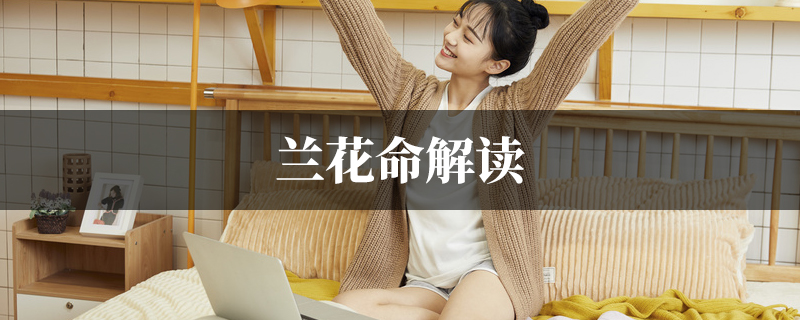 兰花命解读