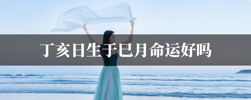 丁亥日生于巳月命运好吗