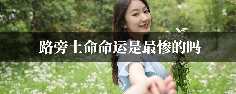 路旁土命命运是最惨的是真的吗