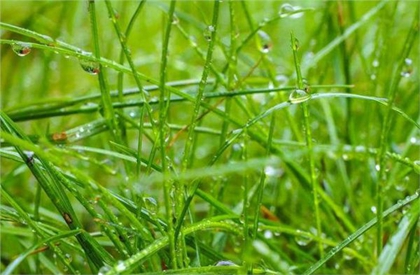 2020年雨水后一天正月二十七日子适合搬家入宅吗？(图文)