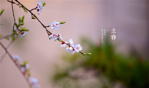（2月3日—2月5日）立春时节要注意保护阳气吗？(图文)
