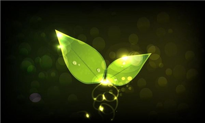 2020年二月十九植树节适合安床吗,植树节是几月几日2020？(图文)