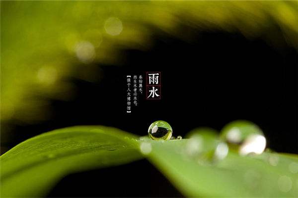 2020年雨水节气当天搬家入宅好不好？搬家当天要注意什么？(图文)