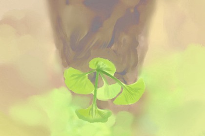 镇宅旺运的植物 竹子可以镇宅旺运(图文)