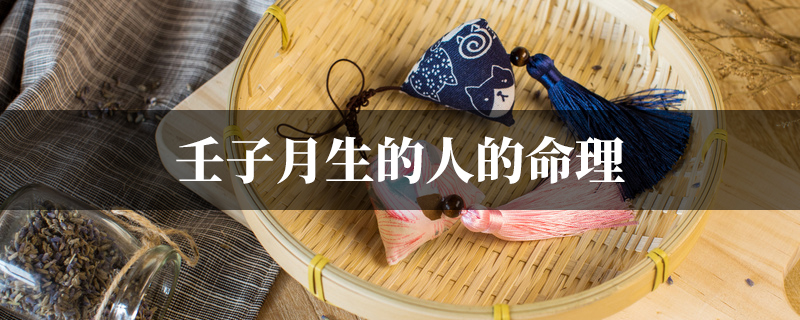 壬子月生的人的命理