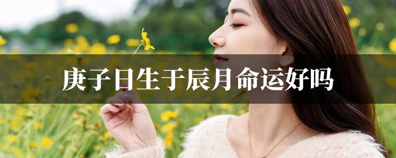 庚子日生于辰月命运好吗