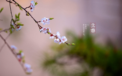 立春是什么日子?2020年立春是农历哪一天?(图文)