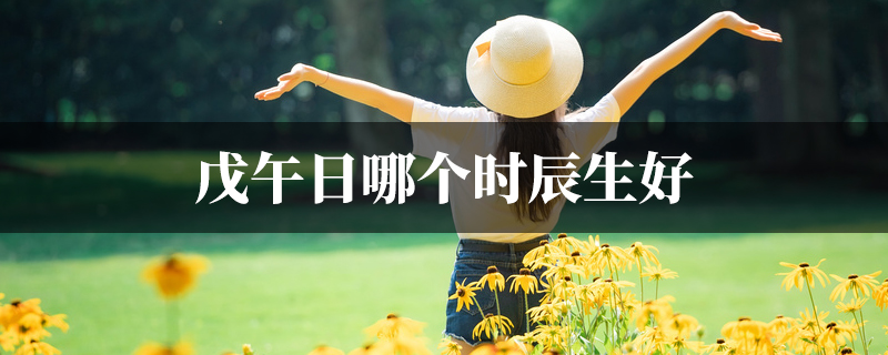 戊午日哪个时辰生好