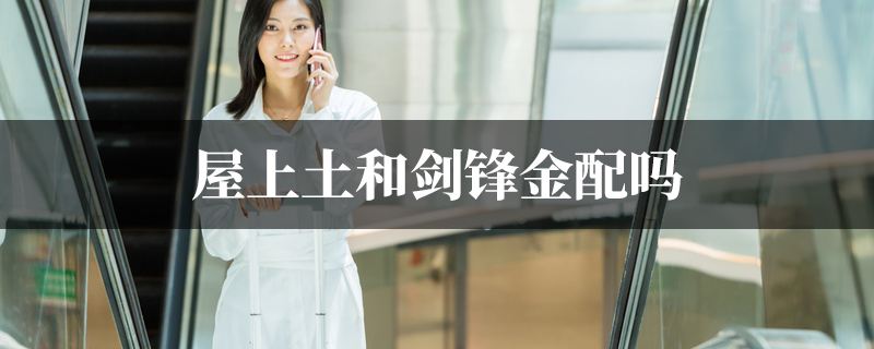 屋上土和剑锋金配吗