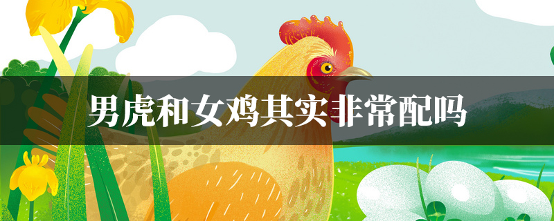 男虎和女鸡其实非常配吗
