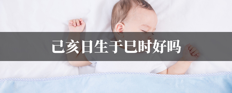 己亥日生于巳时好吗