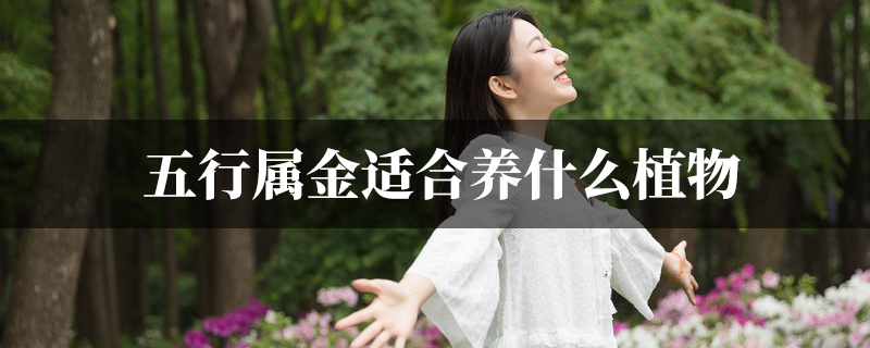 五行属金适合养什麽植物