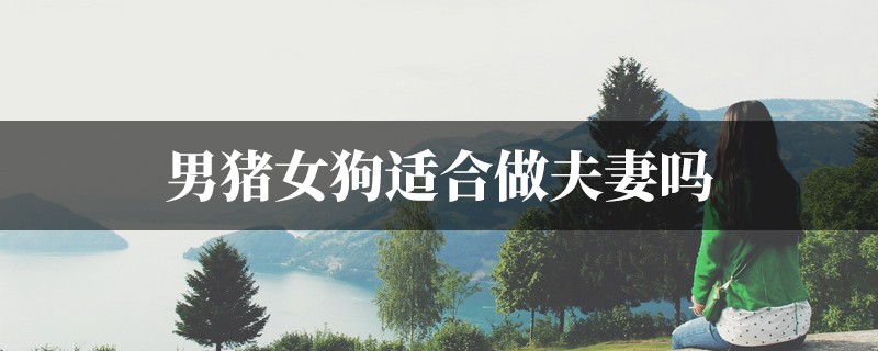 男猪女狗适合做夫妻吗