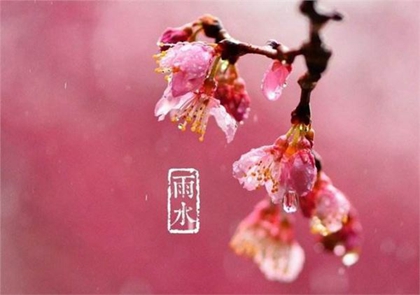 2020年2月19日雨水节气宜出行吗,关于雨水节气谚语解析！(图文)