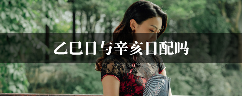 乙巳日与辛亥日配吗