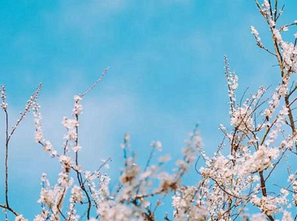 2020年二月初九出生属鼠男宝宝命运如何,今天日子如何？(图文)