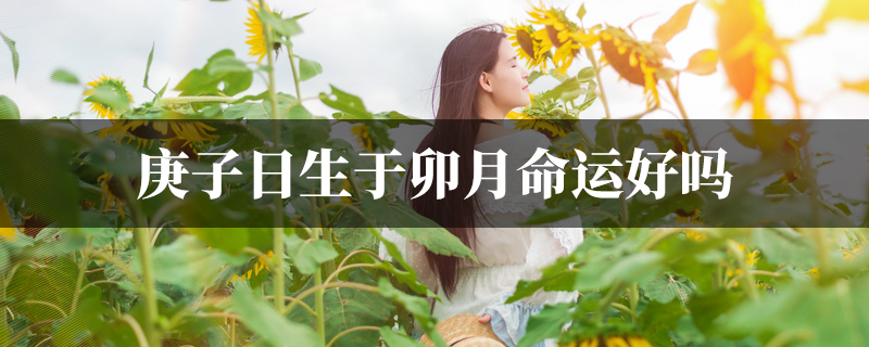 庚子日生于卯月命运好吗