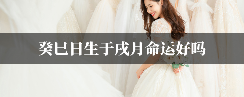 癸巳日生于戌月命运好吗