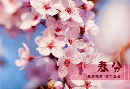 2020年二月二十七春分搬家安床吉利吗,春分是什么意思？(图文)