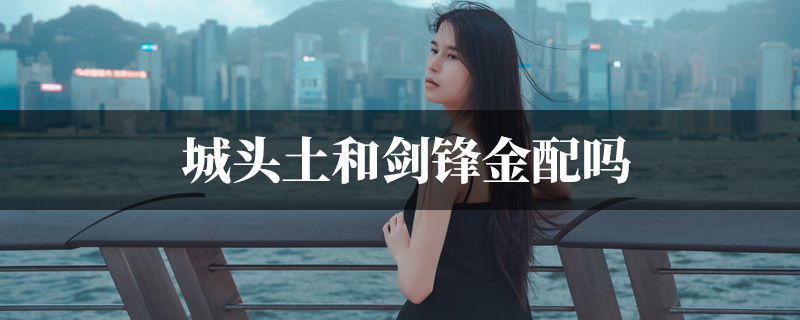 城头土和剑锋金配吗