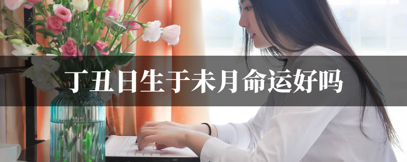 丁丑日生于未月命运好吗
