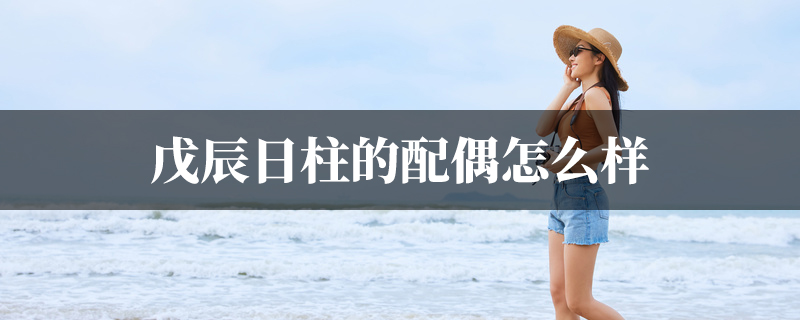 戊辰日柱的配偶怎麽样