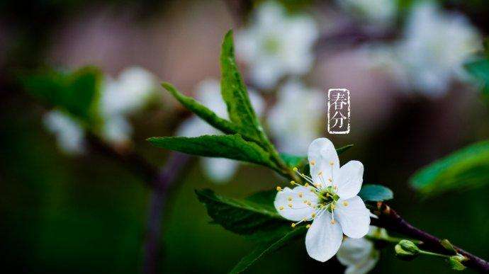 春分节气出生的名人和伟人都有谁？(图文)