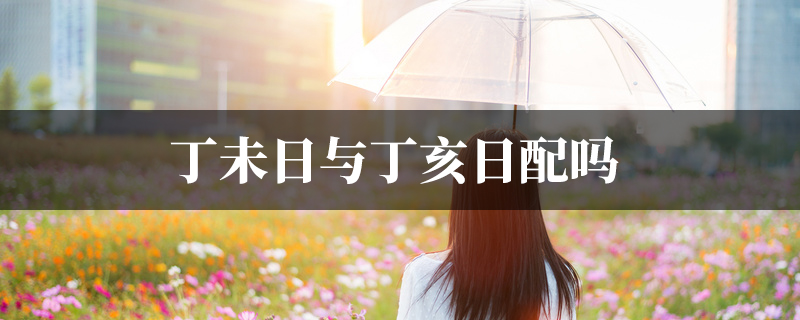 丁未日与丁亥日配吗