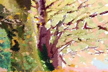 伤官格和劫财格可以婚配吗 结果如何(图文)