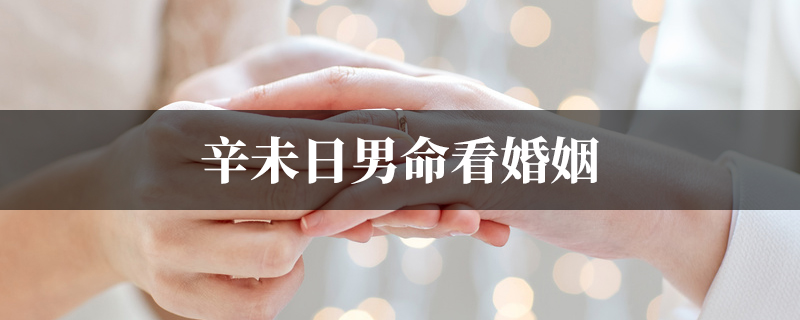 辛未日男命看婚姻