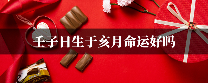 壬子日生于亥月命运好吗