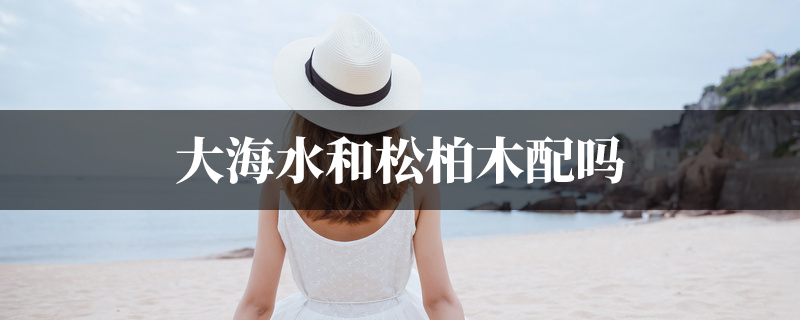 大海水和松柏木配吗