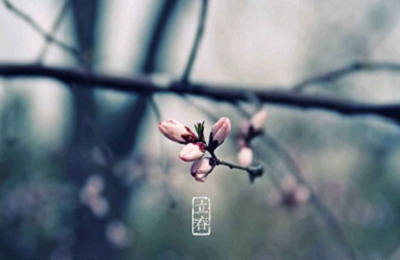 立春是什么日子?2020年立春是农历哪一天?(图文)
