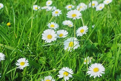 2020年二月十八当天忌迁坟吗,3月11日时辰吉凶查询！(图文)