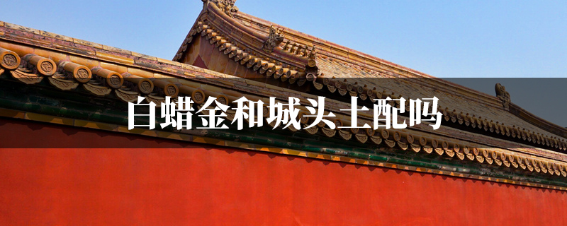 白蜡金和城头土配吗