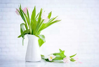 2020年二月十五妇女节出生女孩是八字喜土命局吗？(图文)