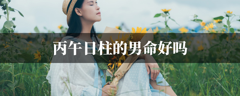 丙午日柱的男命好吗