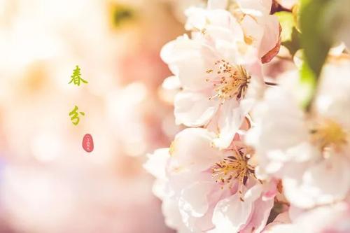 2020鼠年春分日子新人可以领结婚证吗 冲煞是什么?(图文)