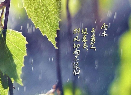2020年雨水后一天宜装修房子吗,雨水节气更容易下雨吗？(图文)