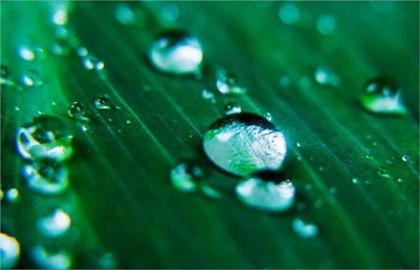 2020雨水是具体时辰是多少,2020年雨水节气祈福好不好？(图文)