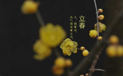 2020年立春是哪天?立春节气搬家好不好?(图文)