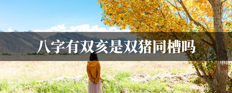 八字有双亥是双猪同槽吗