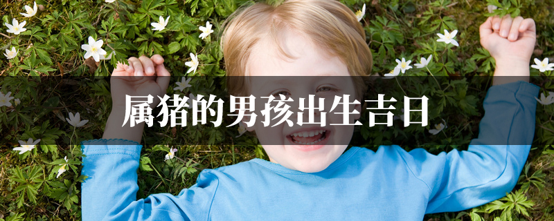 属猪的男孩出生吉日