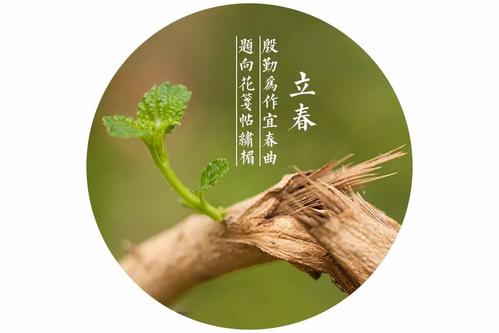 立春节出生的龙男龙女好不好 有什么命运？(图文)