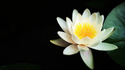 2020年二月十八当天忌迁坟吗,3月11日时辰吉凶查询！(图文)