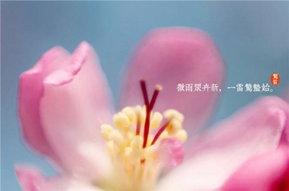 2020年二月十二惊蛰适合祈福吗,2020年惊蛰日子好吗？(图文)