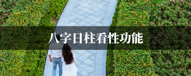 八字日柱看性功能
