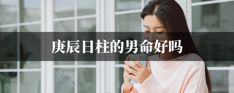 庚辰日柱的男命好吗