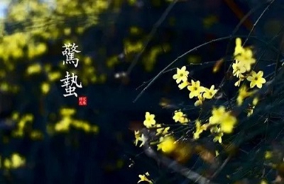2020惊蛰这天可以登记结婚证吗？惊蛰可以回娘家吗？(图文)