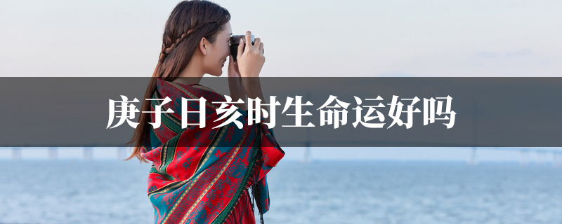 庚子日亥时生命运好吗